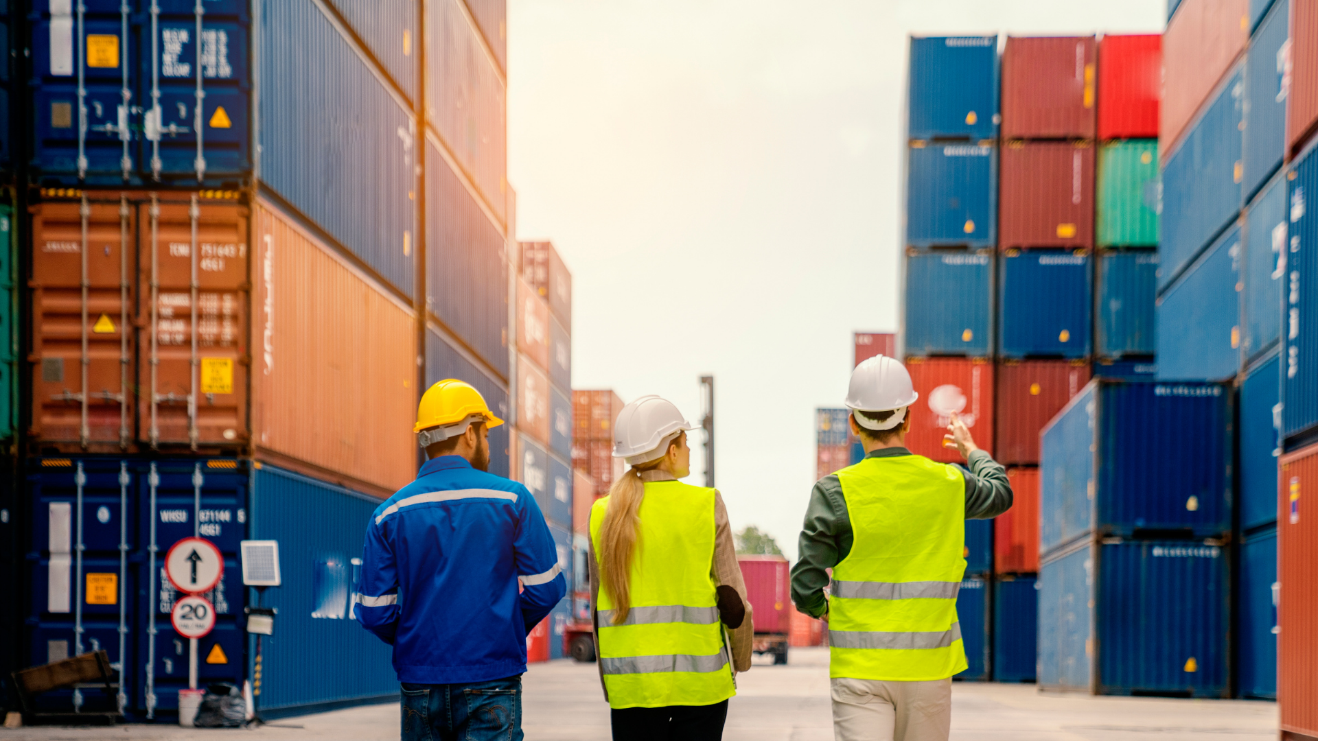 Supply Chain Intelligence